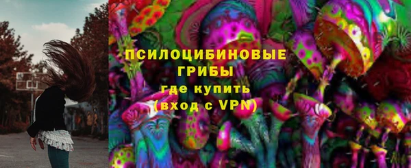 дмт Алзамай
