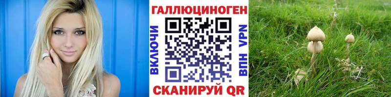 Галлюциногенные грибы Psilocybe Первоуральск
