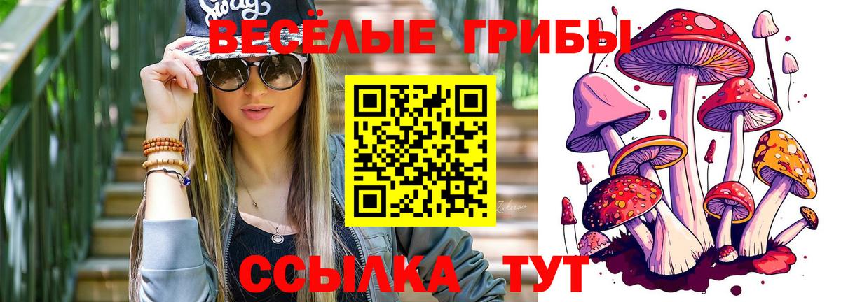 Псилоцибиновые грибы Psilocybine cubensis  цена наркотик  Первоуральск  Вход с VPN 
